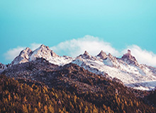 99tk香港相关骗局复盘：他们最爱利用的心理是即时反馈成瘾：别让情绪替你做决定