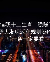 有人私信我十二生肖“稳赚”链接，我追到源头发现返利规则随时改：最后一条一定要看