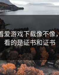 别只盯着爱游戏下载像不像，真正要看的是证书和证书