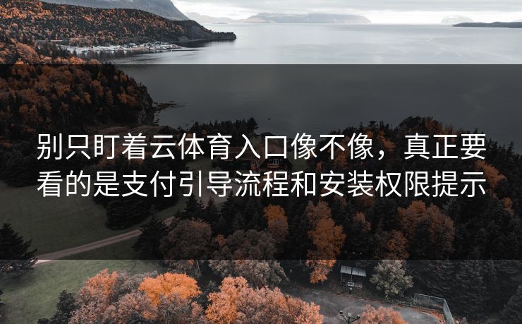 别只盯着云体育入口像不像，真正要看的是支付引导流程和安装权限提示