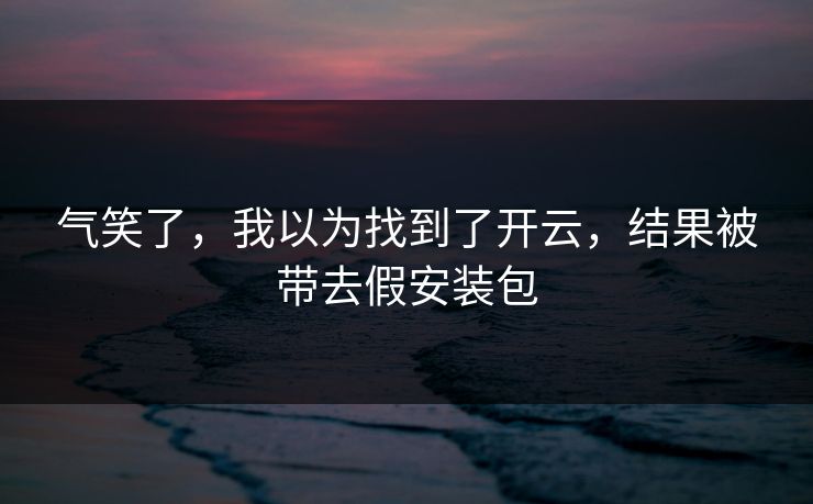 气笑了，我以为找到了开云，结果被带去假安装包
