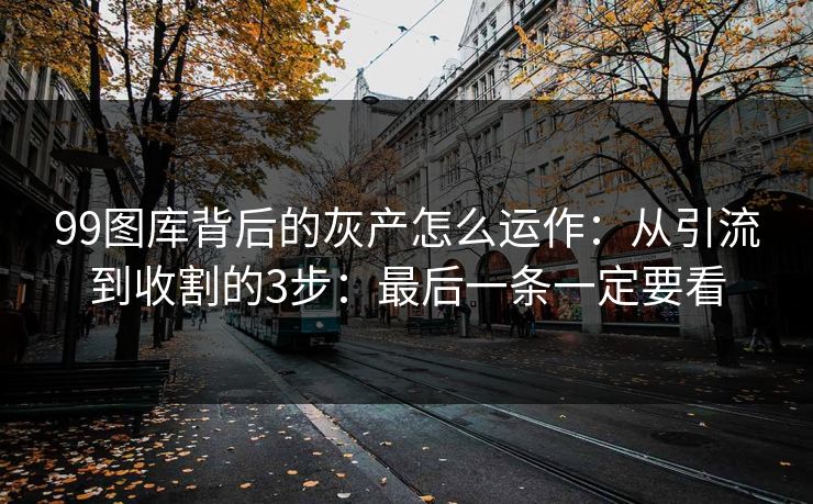 99图库背后的灰产怎么运作：从引流到收割的3步：最后一条一定要看