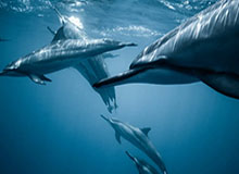 华体会app群里转发的链接——验证码这件事千万别犯错——看完你就知道该不该点